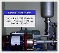  Fuel supply pump (DIAPHRAGM)