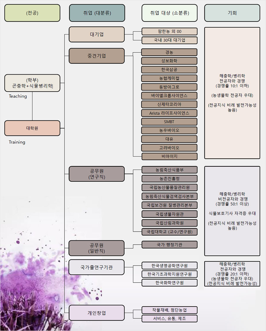 졸업후 진출현황