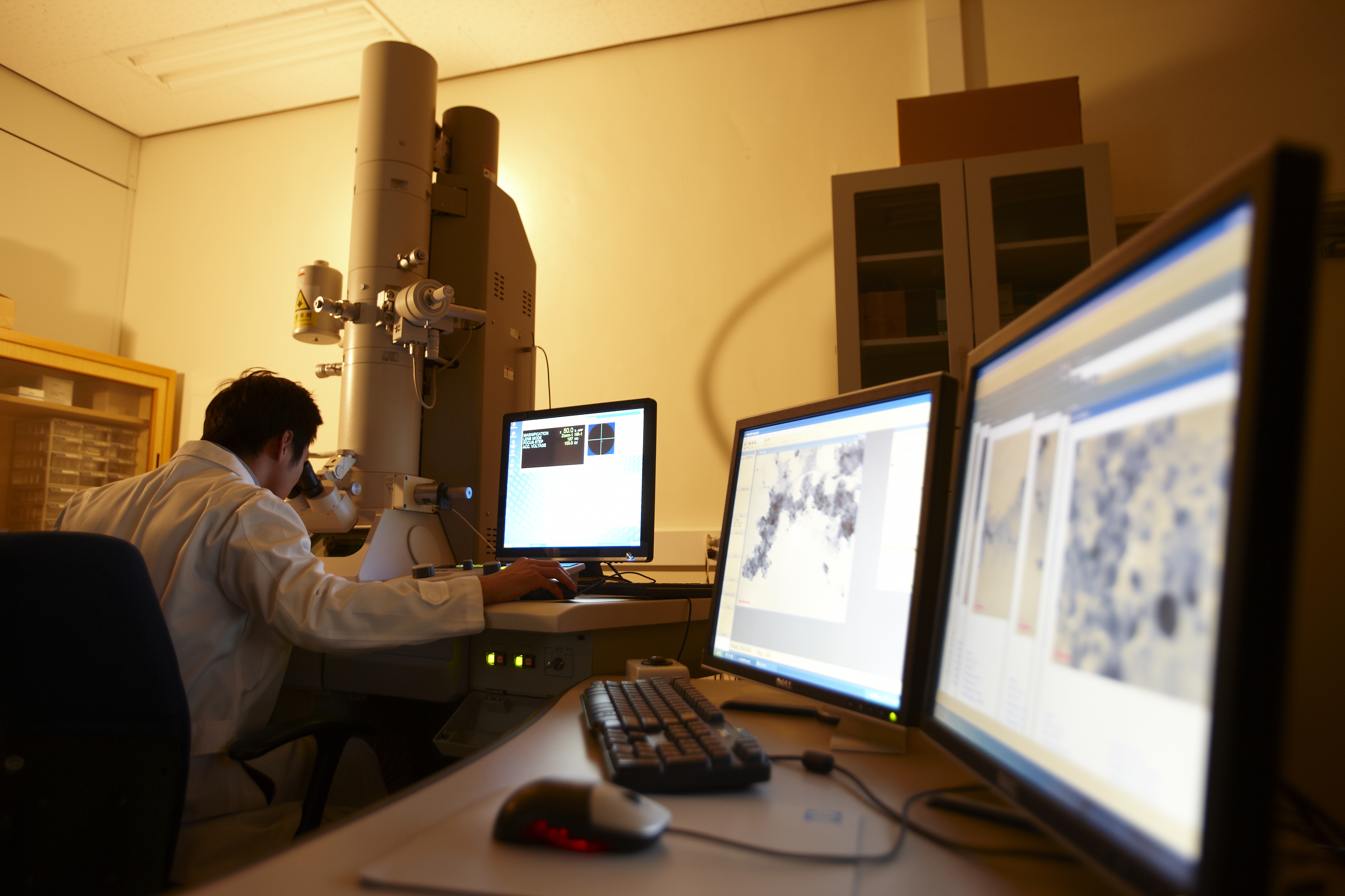 Cell Physiology 사진