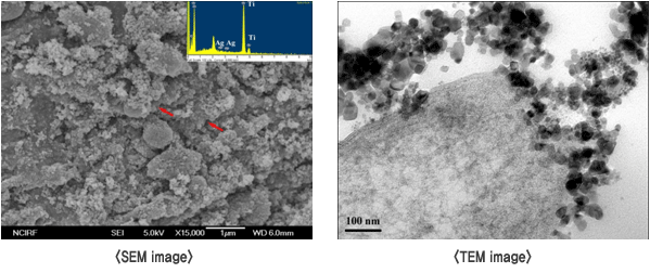 Microbial Inactivation of Ag-TiO₂