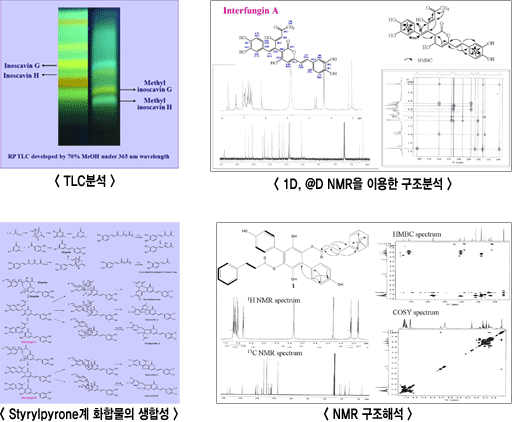 천연물 연구분야