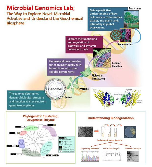 Microbial Genomics Lab