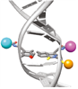 Synthetic Biology Laboratory
