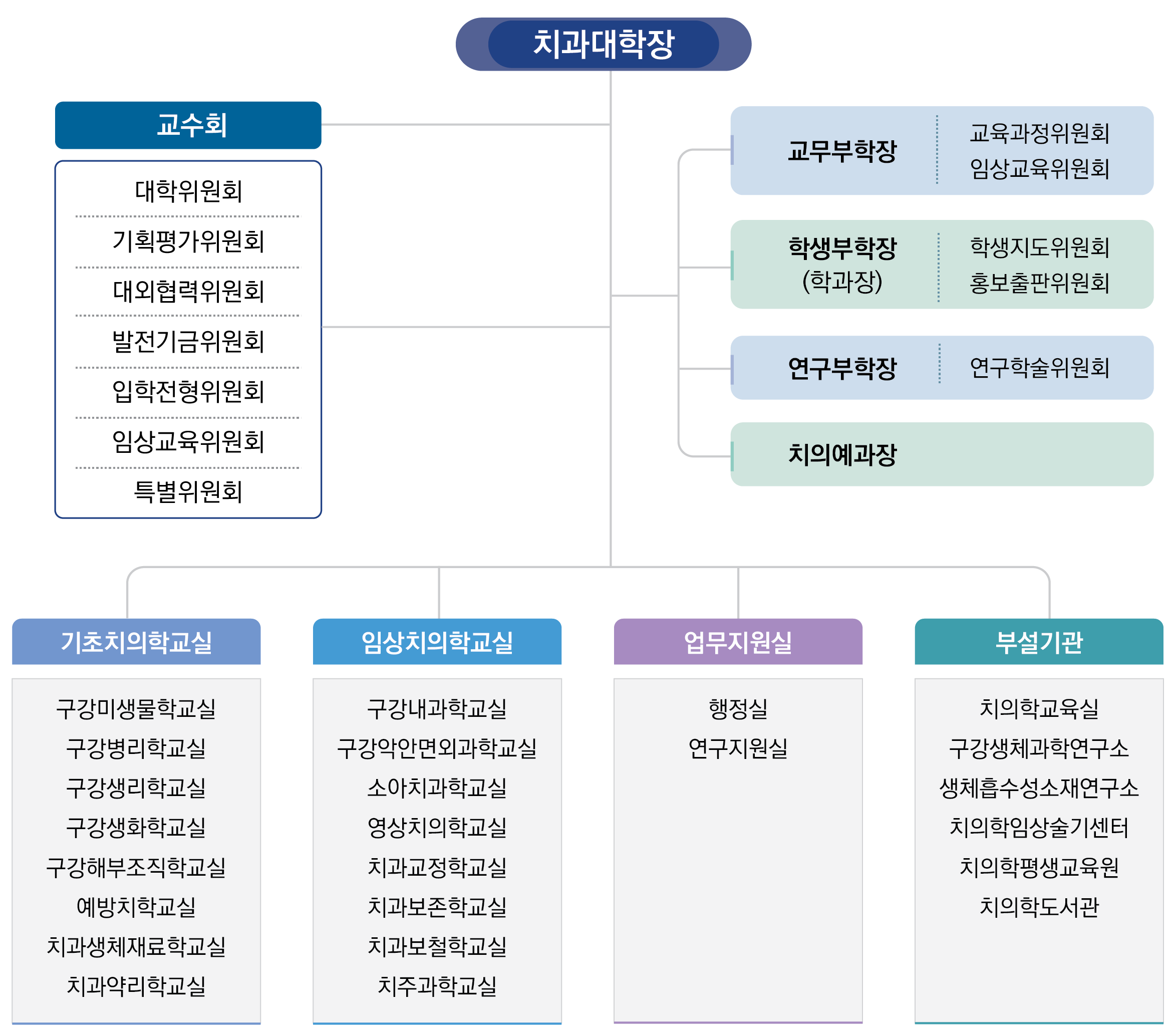 치과대학장 이하 교수회의 및 대학위원회 등 각 위원회가 있으면 교무부학장, 학생부학장, 연구부학장이 있다. 기초치의학교실, 임상치의학교실이 있고, 업무지원실, 부설기관이 있다.