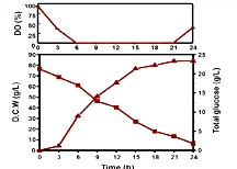 Optimize culture conditions of bacillus subtilis