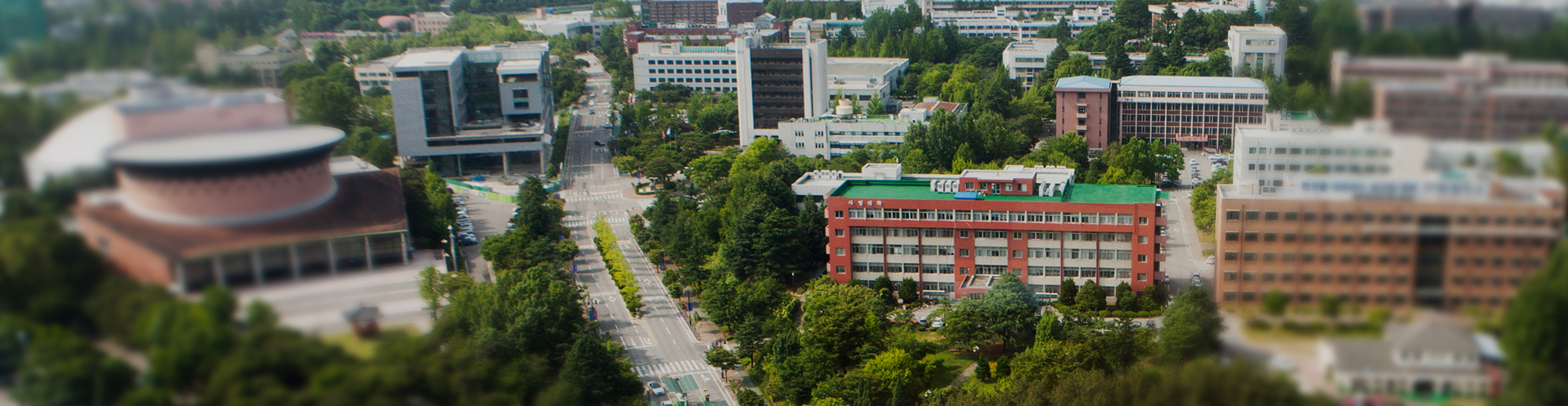 사범대학