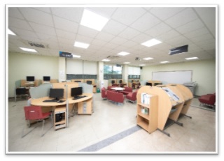 Only buildings and other facilities