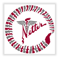 네터(Netter) 사진