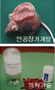 생체의료용 고분자
