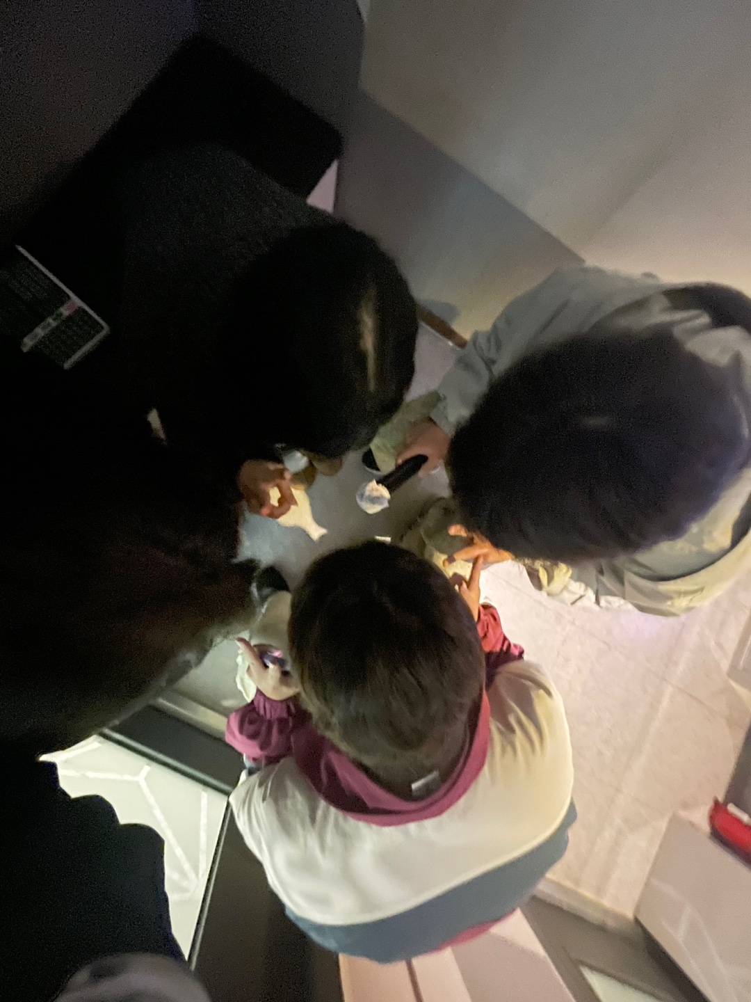 24년 사회학과 벚꽃모임 7번째 첨부파일 이미지