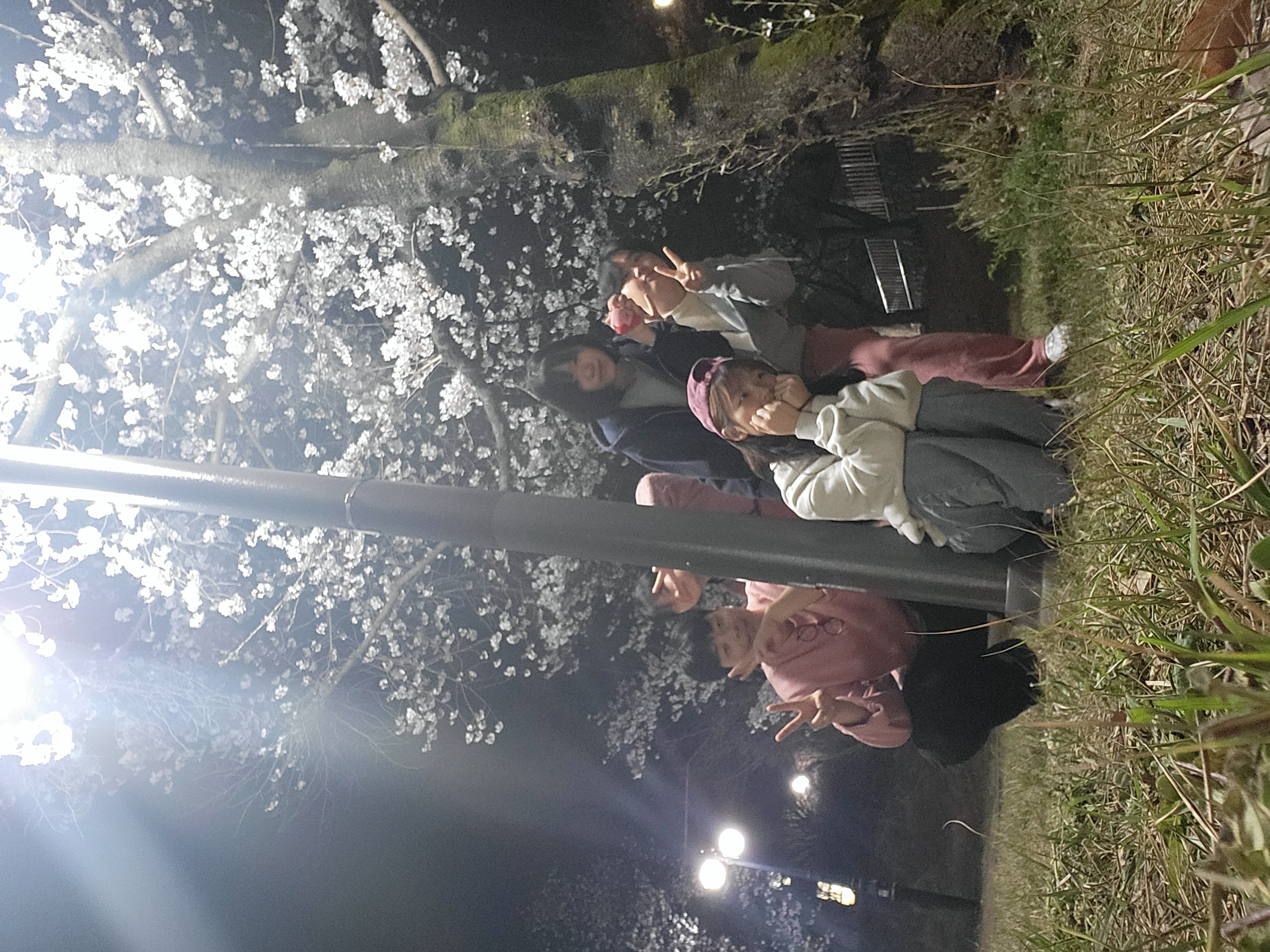 24년 사회학과 벚꽃모임 12번째 첨부파일 이미지